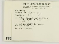 登錄號:F0008521藏品圖，第2張