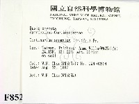 登錄號:F0008522藏品圖，第2張