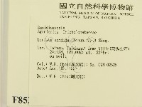 登錄號:F0008523藏品圖，第2張