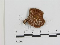 登錄號:F0008523藏品圖，第3張