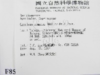 登錄號:F0008524藏品圖，第2張