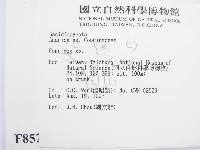 鬼傘屬藏品圖，第2張