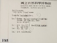 登錄號:F0008528藏品圖，第2張