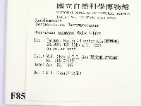 登錄號:F0008529藏品圖，第2張