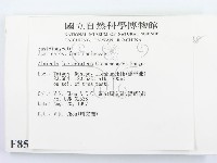 登錄號:F0008533藏品圖，第2張