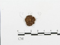 登錄號:F0008533藏品圖，第1張