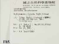 登錄號:F0008534藏品圖，第2張