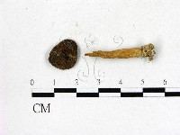 登錄號:F0008535藏品圖，第1張