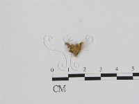 登錄號:F0008537藏品圖，第3張