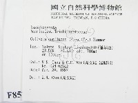 登錄號:F0008538藏品圖，第2張