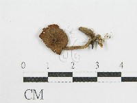 登錄號:F0008538藏品圖，第1張