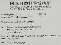 登錄號:F0008539藏品圖，第2張