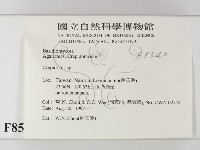 登錄號:F0008540藏品圖，第2張