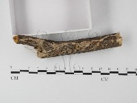 登錄號:F0008540藏品圖，第3張