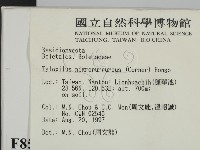 登錄號:F0008541藏品圖，第2張