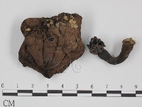 登錄號:F0008541藏品圖，第1張