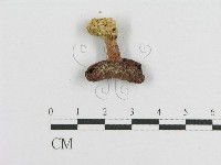 登錄號:F0008542藏品圖，第3張