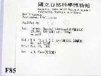 登錄號:F0008543藏品圖，第2張