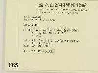 登錄號:F0008547藏品圖，第2張