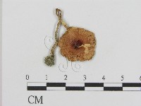 登錄號:F0008547藏品圖，第1張