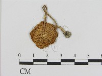 登錄號:F0008547藏品圖，第3張