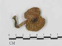 登錄號:F0008548藏品圖，第1張