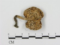 登錄號:F0008548藏品圖，第3張