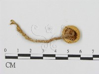 登錄號:F0008549藏品圖，第3張