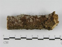 登錄號:F0008549藏品圖，第4張