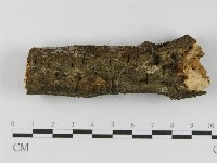 登錄號:F0008549藏品圖，第5張