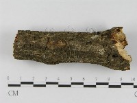 登錄號:F0008549藏品圖，第6張