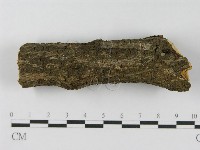 登錄號:F0008549藏品圖，第7張