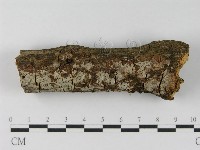 登錄號:F0008549藏品圖，第8張