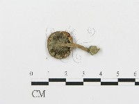 登錄號:F0008550藏品圖，第1張