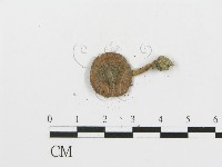 登錄號:F0008550藏品圖，第3張