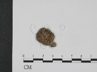 登錄號:F0008551藏品圖，第1張