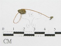 登錄號:F0008553藏品圖，第1張