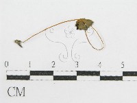 登錄號:F0008553藏品圖，第3張