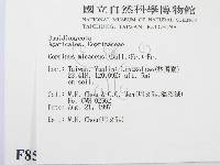 登錄號:F0008554藏品圖，第2張