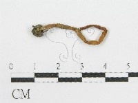 登錄號:F0008554藏品圖，第3張