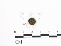 登錄號:F0008555藏品圖，第1張