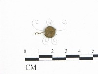 登錄號:F0008555藏品圖，第3張