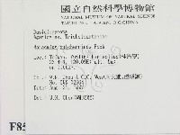 登錄號:F0008556藏品圖，第2張