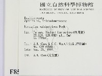 登錄號:F0008557藏品圖，第2張
