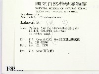 登錄號:F0008558藏品圖，第2張