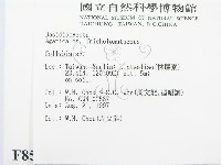 登錄號:F0008559藏品圖，第2張