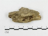 登錄號:F0008560藏品圖，第1張