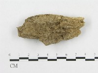 登錄號:F0008560藏品圖，第3張