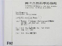 登錄號:F0008564藏品圖，第2張