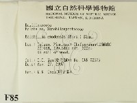 登錄號:F0008566藏品圖，第2張